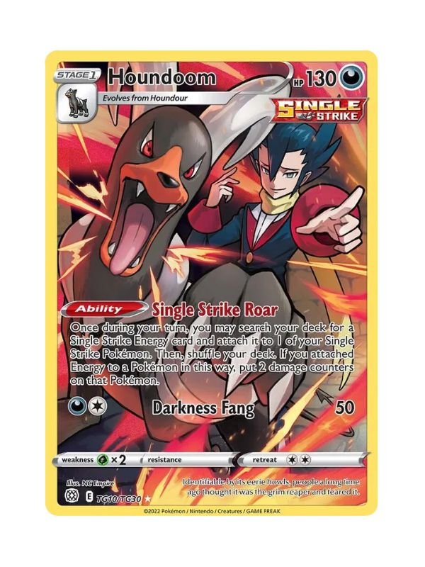 Houndoom (BRS TG10) ING