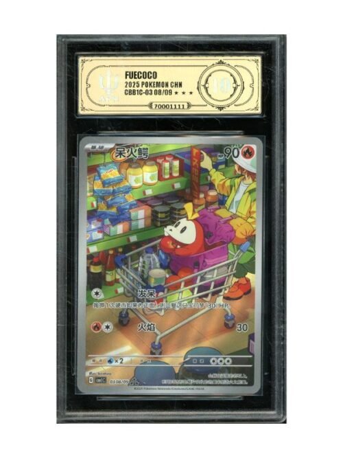 APH 10 - Fuecoco 308/9 - CHI