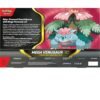 Mega Venusaur ex Premium Collection Box