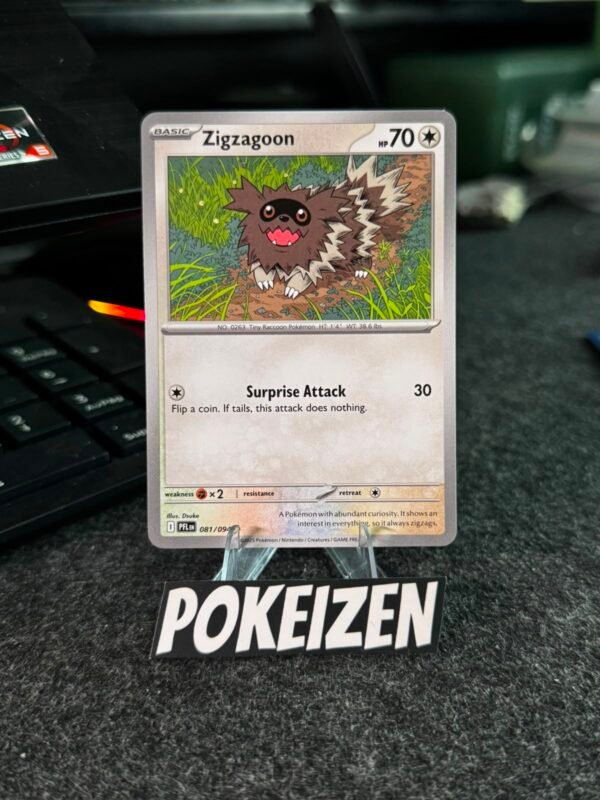 Zigzagoon (PFL 081) ING