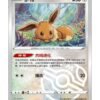 Eevee (CBB2C 0110) CHI