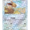 Eevee (CBB2C 0107) CHI